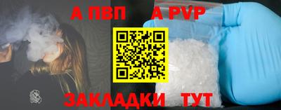 герыч Кингисепп